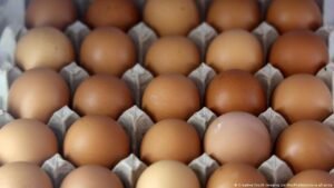 US: 19 million eggs recalled over Salmonella risk