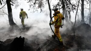 Wildfires: Belgium battles blaze, France’s Lecornu jeered