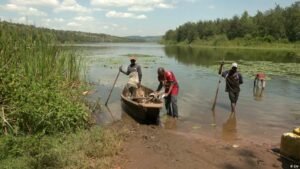 Burundi’s vanishing lakes and the fight to bring them back