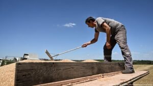 Ukraine’s farmers struggle to sell harvest amid war, drought