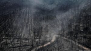 Spain battles forest fire a short drive from flash flood