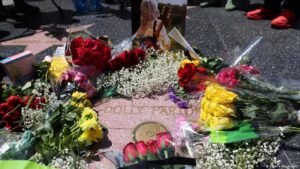 US flags lowered in tribute to Dolly Parton