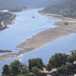 Can businesses navigate the Rhine’s new reality?