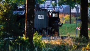 Swiss police arrest man over deadly rave shooting
