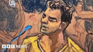 Luigi Mangione admits killing healthcare CEO and pleads guilty to federal charges