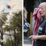 Heatwave: South Korea records its hottest day since records began