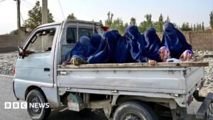 Afghan women speak to BBC after five years of Taliban rule