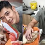 Elvin Ng had to euthanise his 17-year-old dog due to declining health: ‘I felt I could have done better for her’
