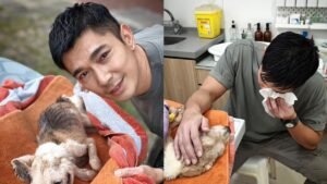 Elvin Ng had to euthanise his 17-year-old dog due to declining health: ‘I felt I could have done better for her’