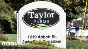 Taylor Farms recalls jalapeno products after salmonella outbreak