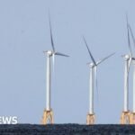 US strikes $1.2bn deal to pay German firm to halt offshore wind projects