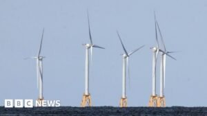 US strikes $1.2bn deal to pay German firm to halt offshore wind projects