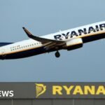 Engine parts smashed Ryanair window that man’s head was sucked out of, report says