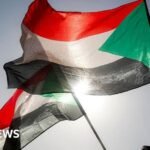 Sudan civil war: Army drone strike on Darfur court session kills 35, rights group says