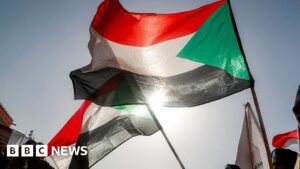 Sudan civil war: Army drone strike on Darfur court session kills 35, rights group says
