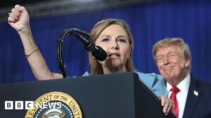 Lindsey Graham’s sister wins Republican primary to contest Senate seat in November