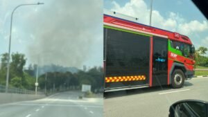 Fire involving about 3ha of greenery extinguished near Seletar Link