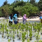 ‘This is our home’: The women fighting a company’s land claim on Indonesia’s Pari Island