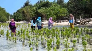 ‘This is our home’: The women fighting a company’s land claim on Indonesia’s Pari Island