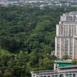 Commentary: Forests vs flats? Singapore’s land development debate needs to move beyond that