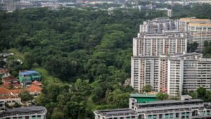 Commentary: Forests vs flats? Singapore’s land development debate needs to move beyond that