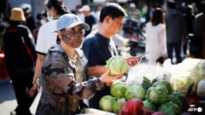 No evidence of formaldehyde contamination in tested cabbages from China: SFA