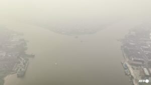 Indonesia closes 9 national parks temporarily following forest fires; prioritises firefighting in 6 provinces