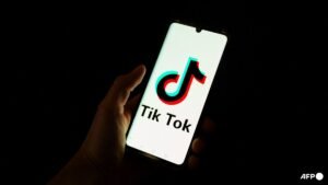Japan court rules human voice is protected in TikTok AI case