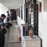Woman who killed adoptive father over Sengkang flat loses appeal against 18-year jail term