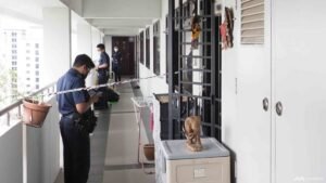Woman who killed adoptive father over Sengkang flat loses appeal against 18-year jail term