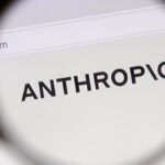 Anthropic signs $35 billion cloud deal with Nvidia-backed Lambda, source says