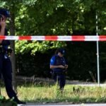 Swiss rave shooting suspect has ‘psychological problems’: prosecutor
