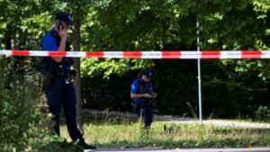 Swiss rave shooting suspect has ‘psychological problems’: prosecutor