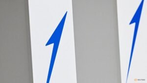 German rocket reaches space as Europe enters satellite launch race
