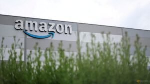 Amazon raises almost $6 billion in first sterling bond sale, lead manager says