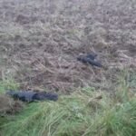 Italian NATO fighter jet shoots down stray drone over Lithuania