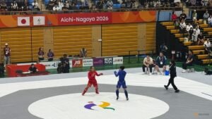 Games-Safety first as mixed martial arts grapples for recognition at Asian Games