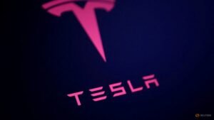 EU vote on Tesla’s supervised self-driving system pushed back
