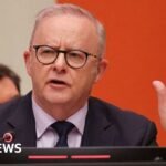 Why Australia chose the world’s biggest political stage to reveal OpenAI hack