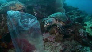 World lagging on key UN biodiversity targets
