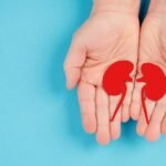 Germany news: Bundestag to discuss opt-out organ donation