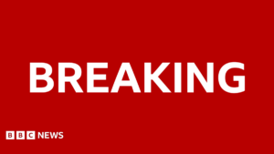 Renoir: Four works of art stolen from museum in France