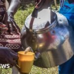 Kenya’s milk shortage: Chai tea lovers unhappy as cows run dry