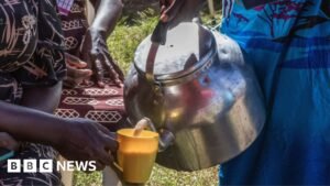 Kenya’s milk shortage: Chai tea lovers unhappy as cows run dry