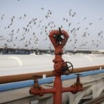 Iran bets on shadow networks to evade US sanctions