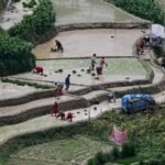 El Niño and wars fuel triple food crisis