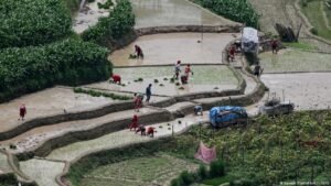 El Niño and wars fuel triple food crisis