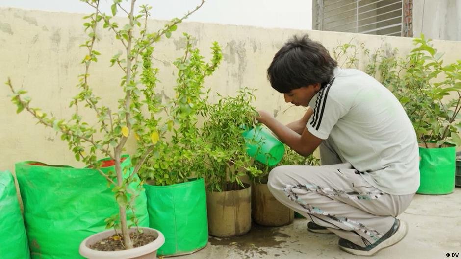 Urban farming for a new generation in Delhi