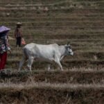 How climate change and food insecurity could fuel conflicts