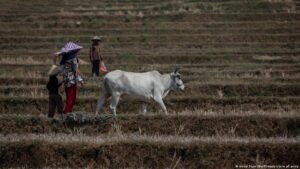 How climate change and food insecurity could fuel conflicts